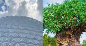 Left: Spaceship Earth’s iconic silver geodesic dome under a dramatic sky at EPCOT. Right: The towering Tree of Life surrounded by vibrant greenery, capturing the magical atmosphere of Disney’s Animal Kingdom during extended evening hours.