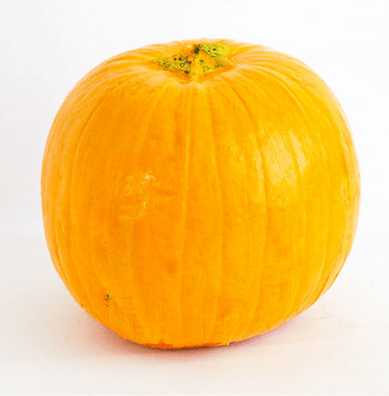 A whimsical orange pumpkin with a yellow stem sits against a crisp white background, styled to evoke the charm of Winnie the Pooh’s famous “Hunny Pot”—the perfect touch for a Disney-inspired fall festival or character-themed event.