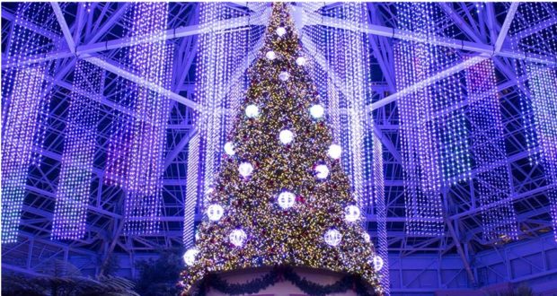 The iconic Christmas tree, aglow with sparkling lights beneath the stunning glass atrium of the Gaylord Palms Resort, becomes the centerpiece of festive celebrations. Surrounded by cascading purple lights, this dazzling holiday display sets the perfect stage for memorable seasonal events and entertainment.