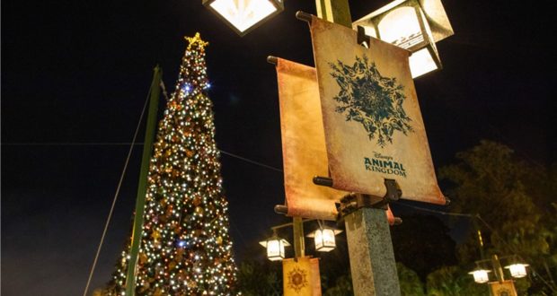 A sparkling Christmas tree and the iconic Disney's Animal Kingdom banner shine beneath festive lanterns at night, capturing the magical holiday atmosphere guests love during special events like Festive Flotilla and Donald’s Dino Bash.