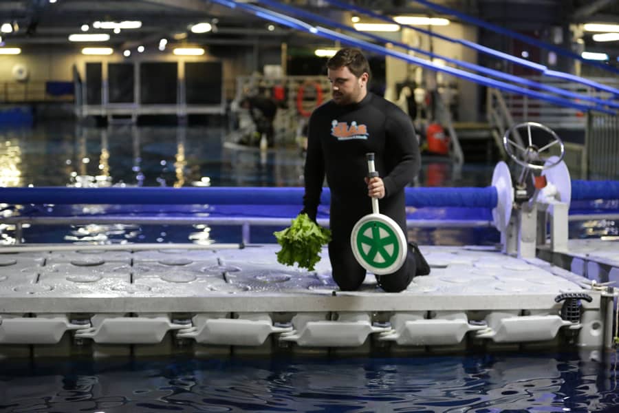 A Disney’s Animal Kingdom animal trainer in a wetsuit kneels on the dock by shimmering water, offering lettuce and showcasing a green wheel sign during an exciting wildlife demonstration, capturing the immersive magic where guests connect with animals and adventure comes to life.