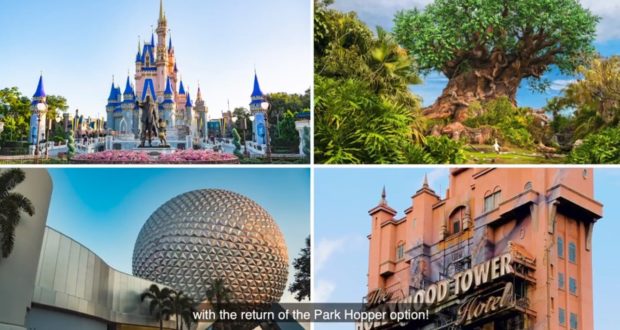 Uncover the magic of Walt Disney World’s greatest icons—Cinderella Castle, Tree of Life, Spaceship Earth, and the Haunted Tower of Terror—with exclusive pro tips for park fans. These legendary landmarks are can’t-miss stops for every thrill-seeking Park Hopper!.
