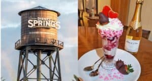 Indulge in the Valentine’s Day Sundae at Disney Springs—a decadent dessert parfait with whipped cream and strawberries, paired perfectly with a bottle of champagne, all set against the backdrop of the famous Disney Springs water tower for a truly magical holiday treat.