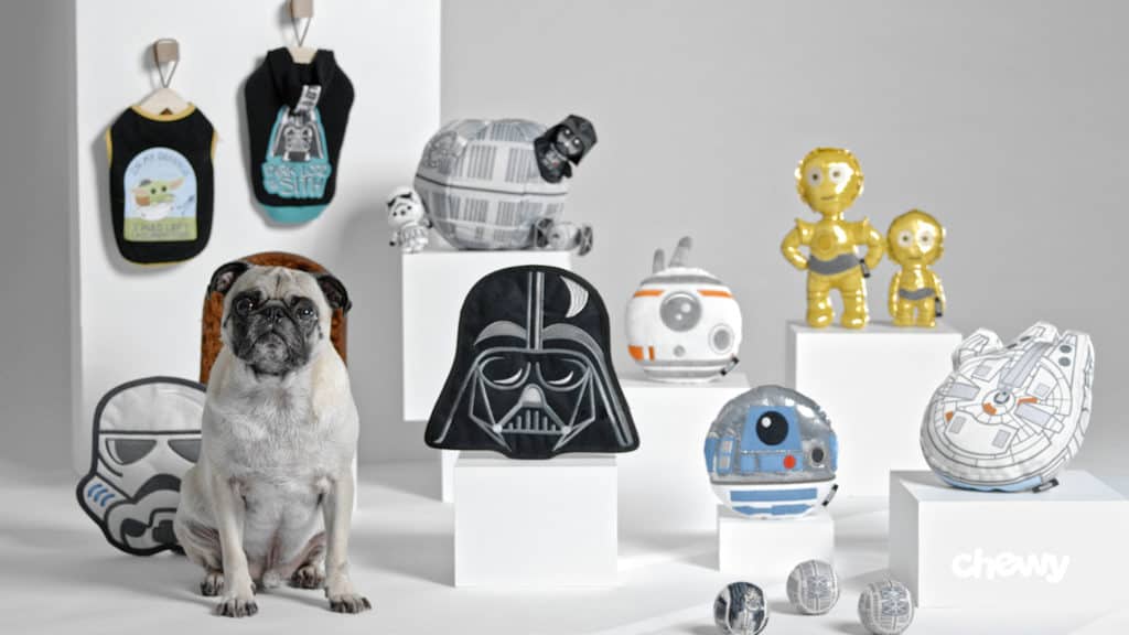 A pug takes center stage amid Star Wars pet toys and accessories from the Chewy Disney Collection, all showcased on bright white displays with the Chewy logo nearby. This galactic pet paradise delivers a playful dose of Star Wars magic for your furry fan—just like stepping into your very own paw-esome galaxy adventure!.