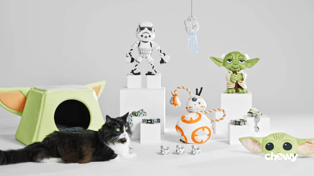 A playful cat surrounded by Star Wars-themed toys, a plush Star Wars cat bed, and collectible Disney figurines on a crisp white backdrop; the Chewy logo appears in the corner—an out-of-this-galaxy setup for pet fans of Disney and Star Wars adventures.