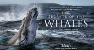A majestic whale rises from the ocean waves beneath a dramatic sky, capturing the wonder of Disney+’s "Secrets of the Whales" episode 101 for fans of Disney nature storytelling.