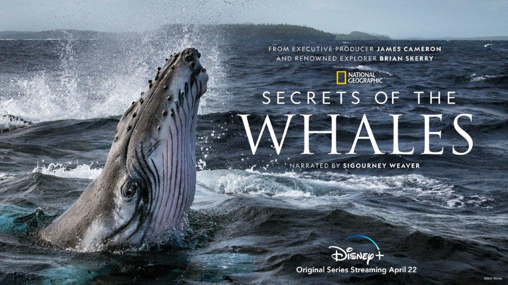 A majestic whale rises from the ocean waves beneath a dramatic sky, capturing the wonder of Disney+’s "Secrets of the Whales" episode 101 for fans of Disney nature storytelling.