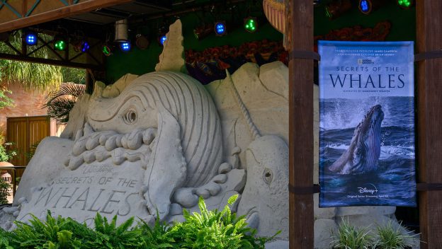 A stunning whale sand sculpture takes center stage under theatrical lighting, showcased at Disney’s Animal Kingdom with a "Secrets of the Whales" banner highlighting the display.