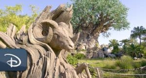 Wood-carved ram sculpture with a towering tree backdrop in Disney's Animal Kingdom, highlighting the immersive park atmosphere and lush surroundings enhanced by iconic Disney sounds.