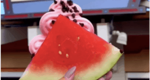At Disney World, a Watermelon Wedge topped with creamy Pink Dole Whip and chocolate chips is held up in front of the colorful snacks sign, ready for a refreshing treat break.