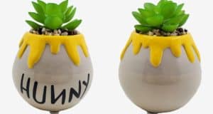 Two mini succulents in rounded planters inspired by Winnie the Pooh, featuring playful yellow drips and “HUNNY” on one pot, just like the classic honey jars from Disney’s Hundred Acre Wood.