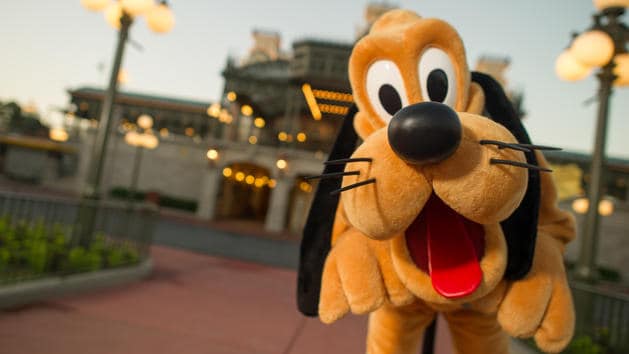 Walt Disney World-Halloween