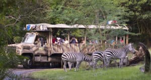 Kilimanjaro Safaris