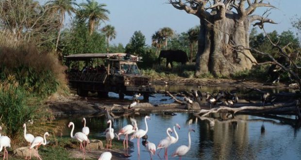 A Kilimanjaro Safaris truck journeys past flocks of flamingos, exotic birds, and a majestic elephant beside a sprawling tree and tranquil pond at Disney’s Animal Kingdom—capturing the thrill of authentic safari adventures that families and Disney fans love.