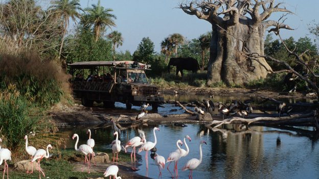 A Kilimanjaro Safaris truck journeys past flocks of flamingos, exotic birds, and a majestic elephant beside a sprawling tree and tranquil pond at Disney’s Animal Kingdom—capturing the thrill of authentic safari adventures that families and Disney fans love.