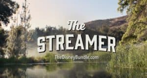 The Streamer" appears above a tranquil pond surrounded by lush trees, inviting Disney fans to enjoy the Disney Streaming Bundle. Below, TheDisneyBundle.com is displayed in smaller text—ideal for park-goers and entertainment enthusiasts who never miss a premiere or trailer.