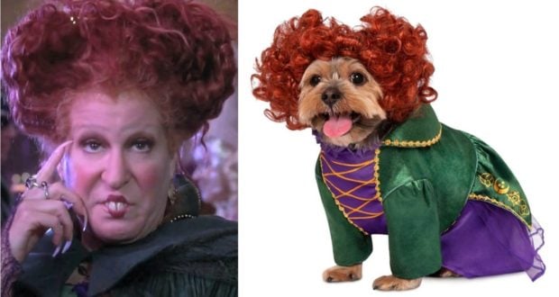 Winifred Sanderson striking a pose with a mini Winifred Sanderson pup, both sporting signature red wigs and matching costumes, ready for Hocus Pocus fun.