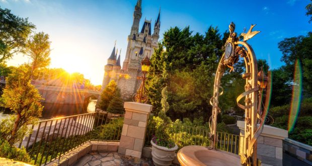 Cinderella Wishing Well