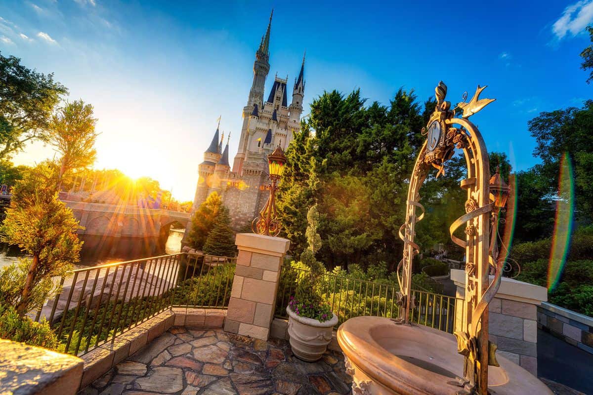 Cinderella Wishing Well