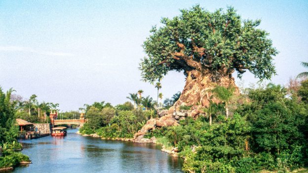 animal-kingdom-tree-of-life