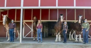 Guests at Circle D Ranch, home to Disneyland’s famous Clydesdale horses, smile and pose in front of a classic red barn, enjoying a magical moment with these iconic Disney equine stars.