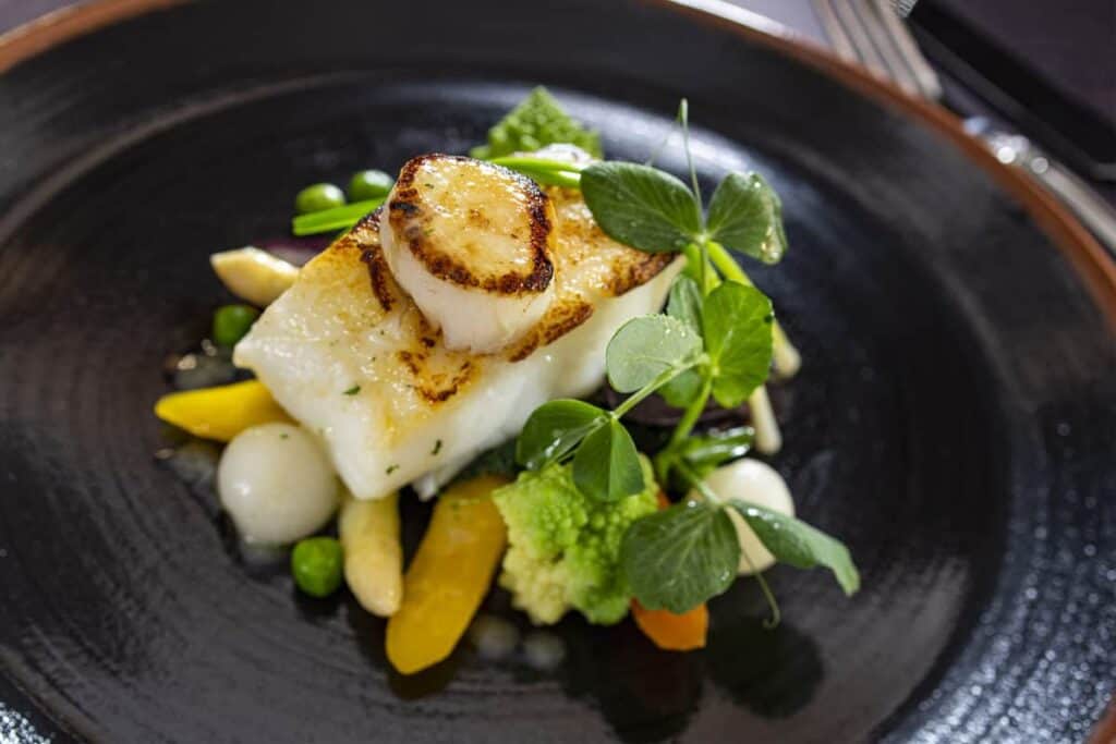 A picture-perfect plate from the Frozen Dining Adventure on Disney Wish features a seared scallop and white fish atop vibrant mixed vegetables, all artfully garnished with fresh greens and served on an elegant black plate—a culinary experience straight from the world of Disney magic at sea.