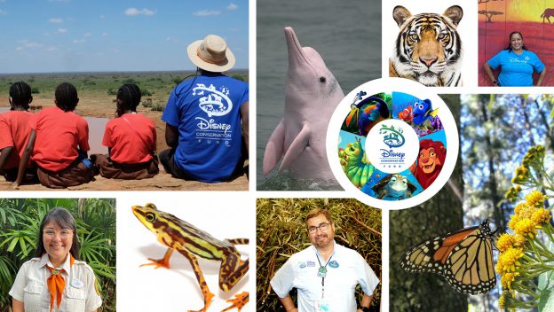 Vibrant collage featuring families, favorite Disney animal friends like Simba and Abu, colorful butterflies and frogs, iconic Disney logo, beloved animated characters, and a tribute to the Disney Conservation Fund’s efforts in wildlife preservation—capturing the magic of Disney parks and commitment to nature.
