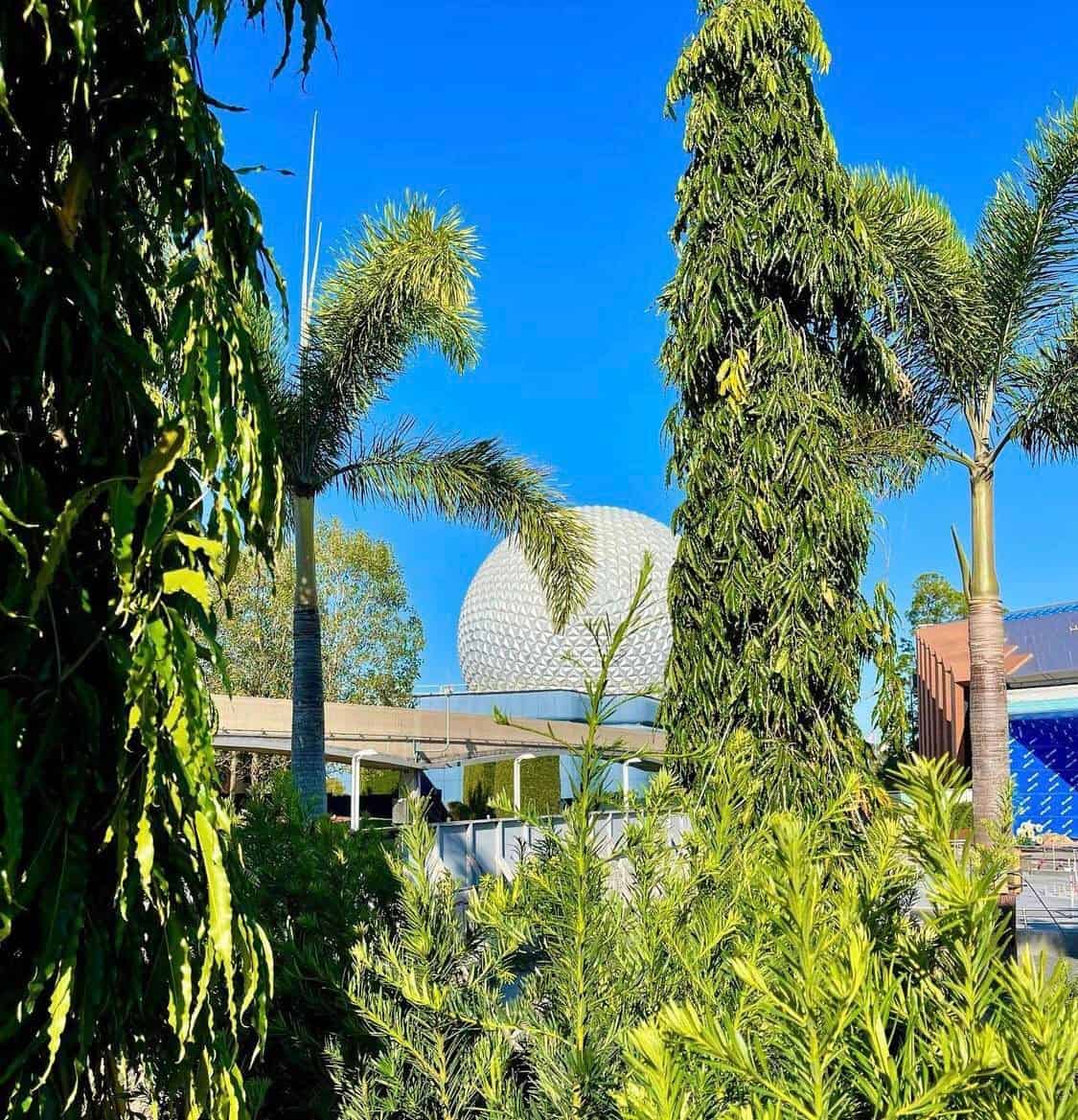 Spaceship Earth, EPCOT’s iconic geodesic sphere, rises behind lush palm trees and vibrant greenery beneath a bright blue sky, capturing the excitement of Planting Day at Walt Disney World.