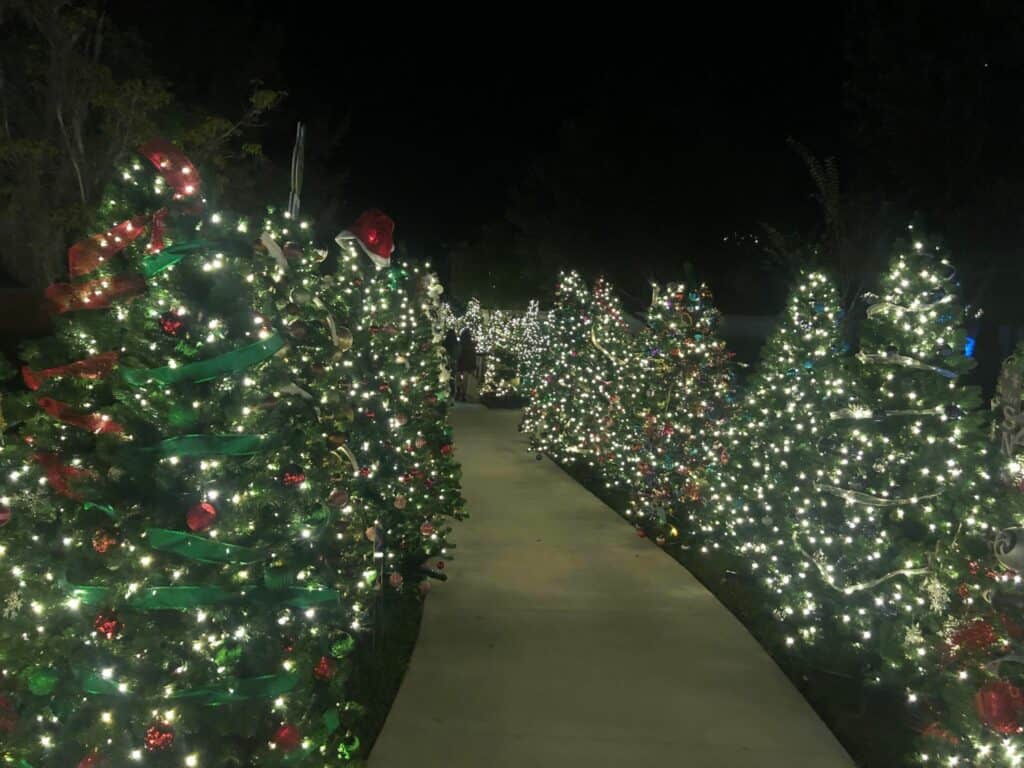 A festive walkway at Give Kids the World is lined with Christmas trees sparkling with white lights, creating an enchanting nighttime display that captures the magic and wonder of the Night of a Million Lights event.