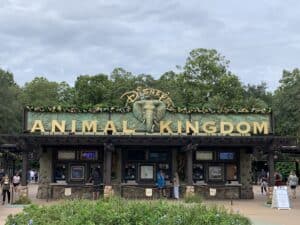 animal-kingdom-sign