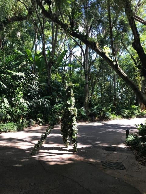 DiVine glides gracefully along a shaded pathway at Disney’s Animal Kingdom, blending seamlessly with the lush green trees and vibrant plant life that surround her.