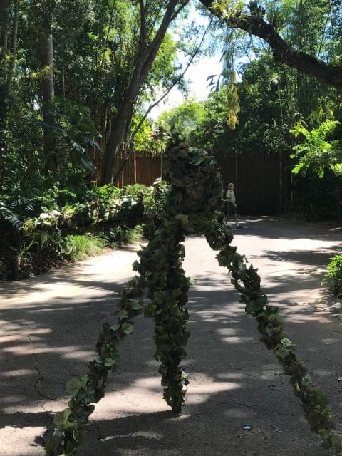 DiVine emerges gracefully on a sun-dappled pathway at Disney’s Animal Kingdom, blending seamlessly with the lush trees and greenery that line the trail.