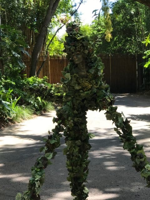 DiVine, the living plant character from Disney’s Animal Kingdom, camouflaged among lush greenery on a sunlit path in the park’s gardens.