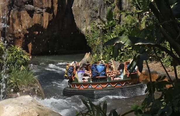 kali-river-rapids-animal-kingdom