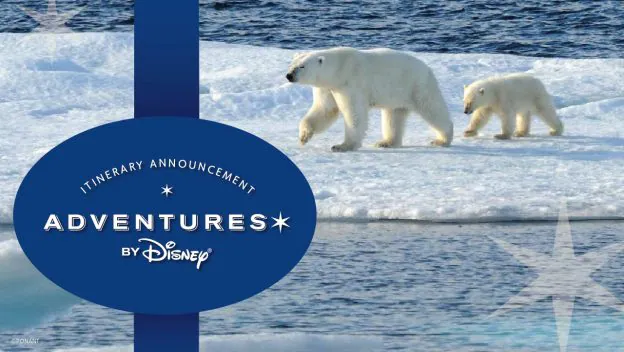 Two polar bears exploring the Arctic ice beside sparkling water, with an "Adventures by Disney" 2023 Expedition Cruises itinerary announcement overlaying the scene, inviting Disney fans to embark on a magical journey.