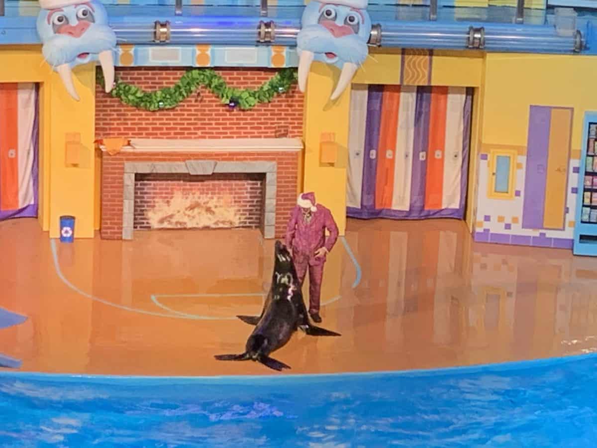 A SeaWorld Orlando performer in a vibrant pink costume delights the audience by interacting with a sea lion on stage, set against the backdrop of a lively and colorful aquatic show.