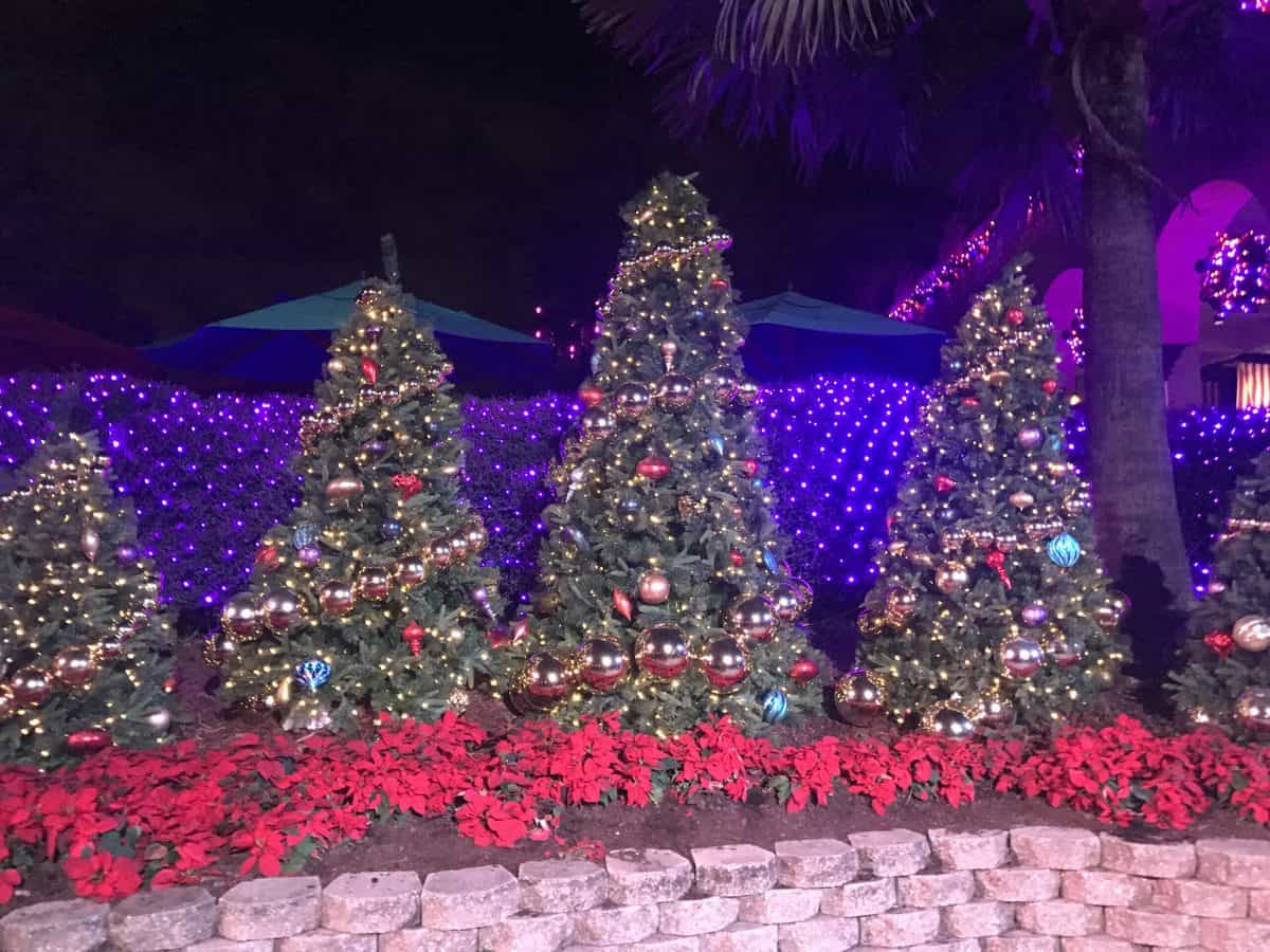 Christmas trees adorned with sparkling ornaments and twinkling lights create a dazzling holiday display, surrounded by vibrant red poinsettias and glowing purple lights—capturing the excitement and magical atmosphere guests expect during New Year’s Eve celebrations at the park.