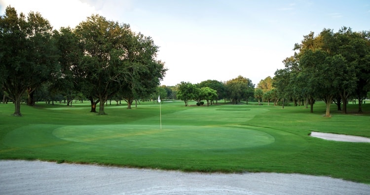 Pristine golf course green with a flagstick, bordered by lush trees and a sand bunker beneath clear skies—offering a relaxing activity for theme park fans searching for Disney World alternatives or fun options when Disney water parks are closed.