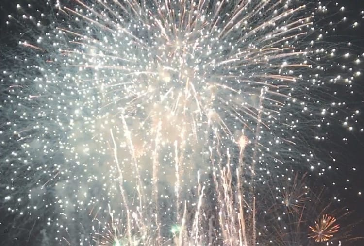 Spectacular fireworks light up the night sky over Busch Gardens Tampa, dazzling guests with glittering white and gold bursts.