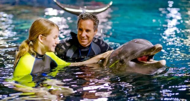 Guests in wetsuits enjoy an up-close dolphin encounter at Disney World, sharing smiles and gentle touches with the playful animal in a sparkling blue pool—just like the magical backstage experiences offered at the park.