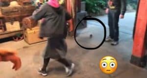 A guest dashes through an indoor attraction while another looks on, a large animatronic rat highlighted on the ground, with a shocked emoji adding to the excitement in the corner.