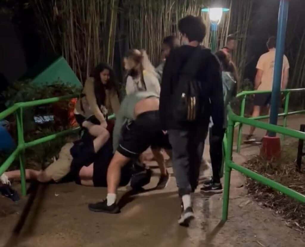 Guests stroll and pause along a dimly lit pathway at night as a lively, theatrical fight scene unfolds nearby, evoking the energy of classic Disney action moments. Some guests watch with excitement while others continue on their way through the magical atmosphere.