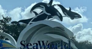 SeaWorld Orlando entrance sign featuring iconic orca sculptures leaping over stylized waves beneath a partly cloudy sky, highlighting free 2022 admission for Florida preschoolers.