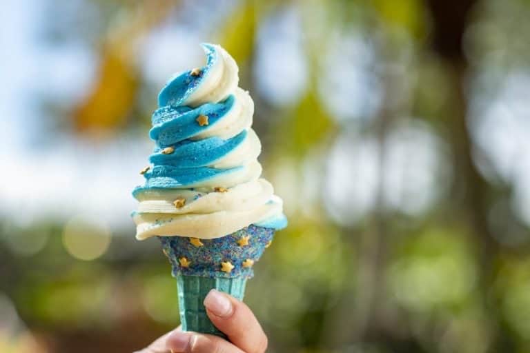 Blue and white swirl ice cream cone with yellow star sprinkles, enjoyed at Typhoon Lagoon, Disney’s tropical water park.