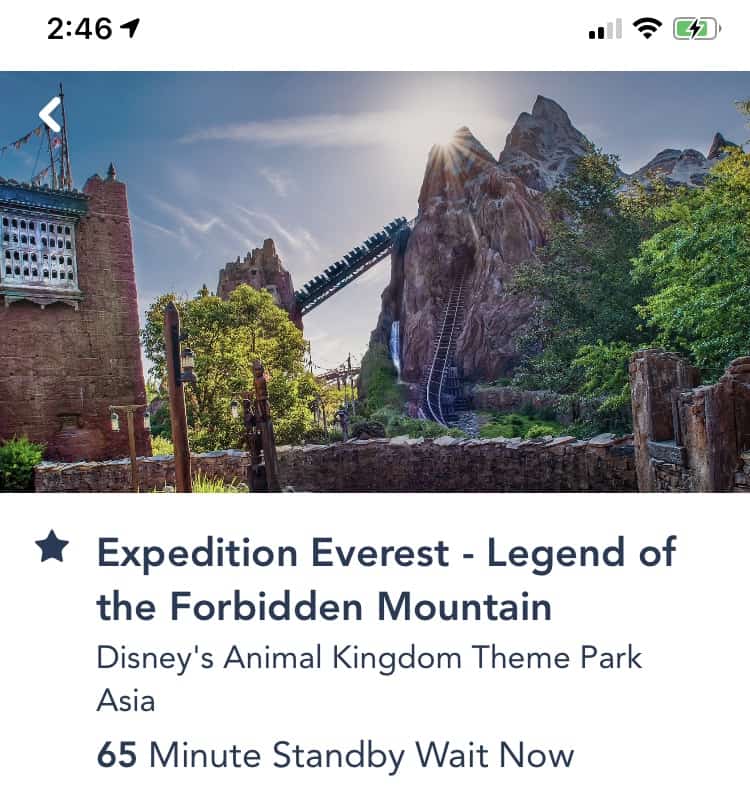 Bright sun beams behind the iconic Expedition Everest roller coaster at Disney’s Animal Kingdom, with thrill-seekers lining up for a 65-minute wait on the final day of operation.