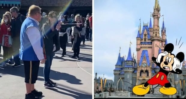 stroller-fight-mickey