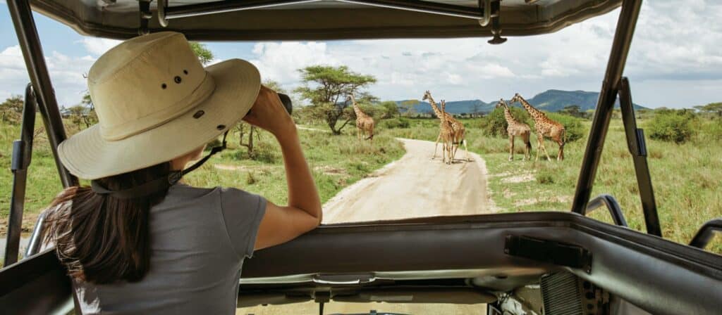 Guests ride through a safari-themed attraction, spotting animatronic giraffes strolling along a dirt road in a lush, grassy setting, immersing visitors in an adventurous journey inspired by the excitement of blockbuster theme park experiences.