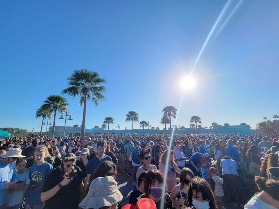 crowds-disney-hollywood