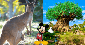 Discover the magic at Disney’s Animal Kingdom, where a kangaroo and her joey meet fan-favorite Mickey Mouse in front of the iconic Tree of Life.