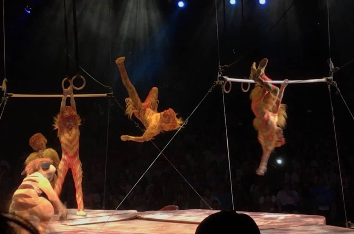 Festival of The Lion King